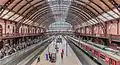 Luz Station.