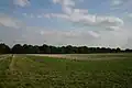 Fakenham Wood