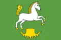 Flag of Čestice