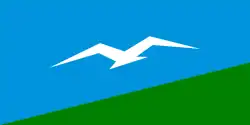 Flag of Anivsky District