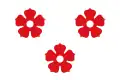 Flag of Ardooie