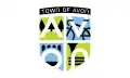 Flag of Avon, Indiana