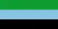 Flag of Bajo Baudó