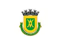 Flag of Borda da Mata