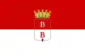 Flag of Busto Arsizio
