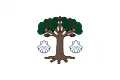 Flag of Concello de Cambre