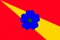 Flag of Červená Voda