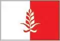 Flag of Municipality of Češinovo-Obleševo