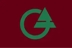 Flag of Chizu