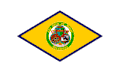 Flag of Dover