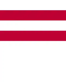 Flag of