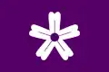 Flag of Iwaki