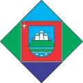 Flag of Kamin-Kashyrskyi