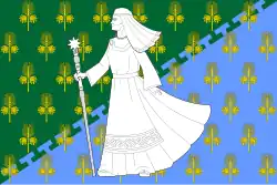 Flag of Loukhi