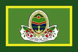 Flag of Maputo