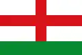 Flag of Marchagaz, Spain