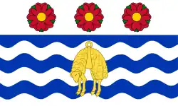 Flag of Napier