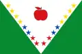 Flag of Nuevo Colón