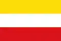 Flag of Paz de Río