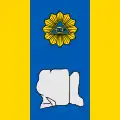 Flag of Pidkamin