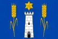 Flag of Radostov