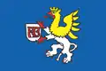 Flag of Radvanice a Bartovice