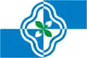 Flag of Rodnikovsky District