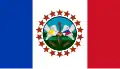 Flag of San Miguel