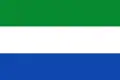Flag of San Miguel