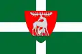 Flag of Telki