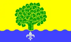 Flag of Bordesholm