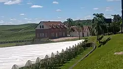 Luiz Argenta