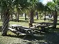 Picnic area