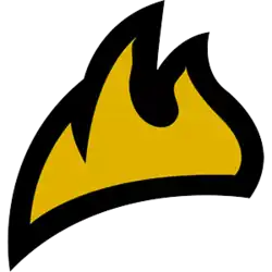 Team logo