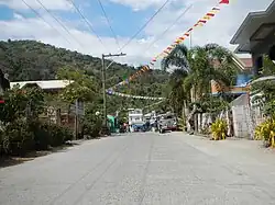Town Proper