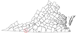 Galax in Virginia
