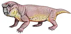 Geikia elginensis