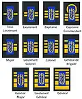 Veterinarian Ranks of the medical component.