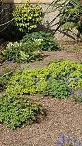 Front Garden April 2012