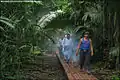Image 1A low impact trail built for ecotourists to protect an archeological site in Guatemala