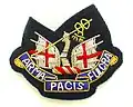 Officer's and warrant officer's beret badge