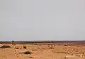 Farmland in eastern Hadejia