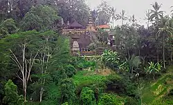 Forest temple