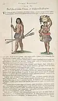 Page from Historia Naturalis Brasiliae, 1648