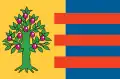 Flag of Hitzum