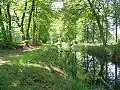 Landscape near Hoonhorst