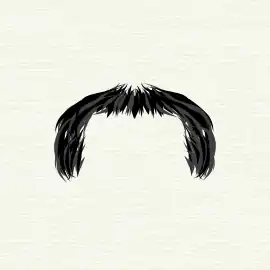 "Horseshoe" moustache style
