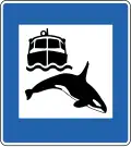 Whale watching