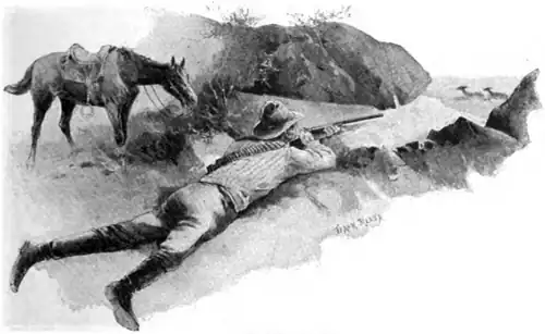 Boer Sportsman
