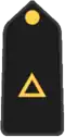Sub-tenente (Brazilian Military Police and Military Firefighters Corps)
